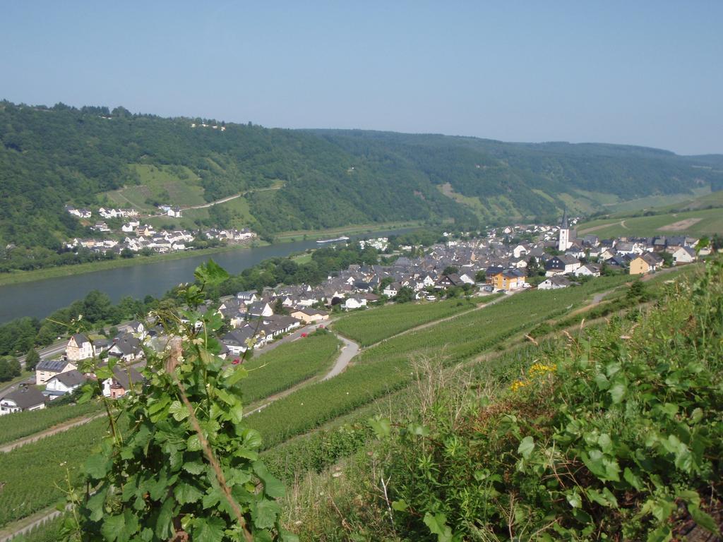 Weingut Stiftshof Hotel Enkirch Exterior photo